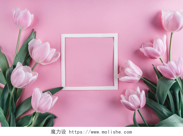 粉红色的郁金香花粉红色的郁金香花和纸在淡粉色背景。圣情人节框架或背景。贺卡或婚礼请柬。平躺, 顶部视图, 复制空间